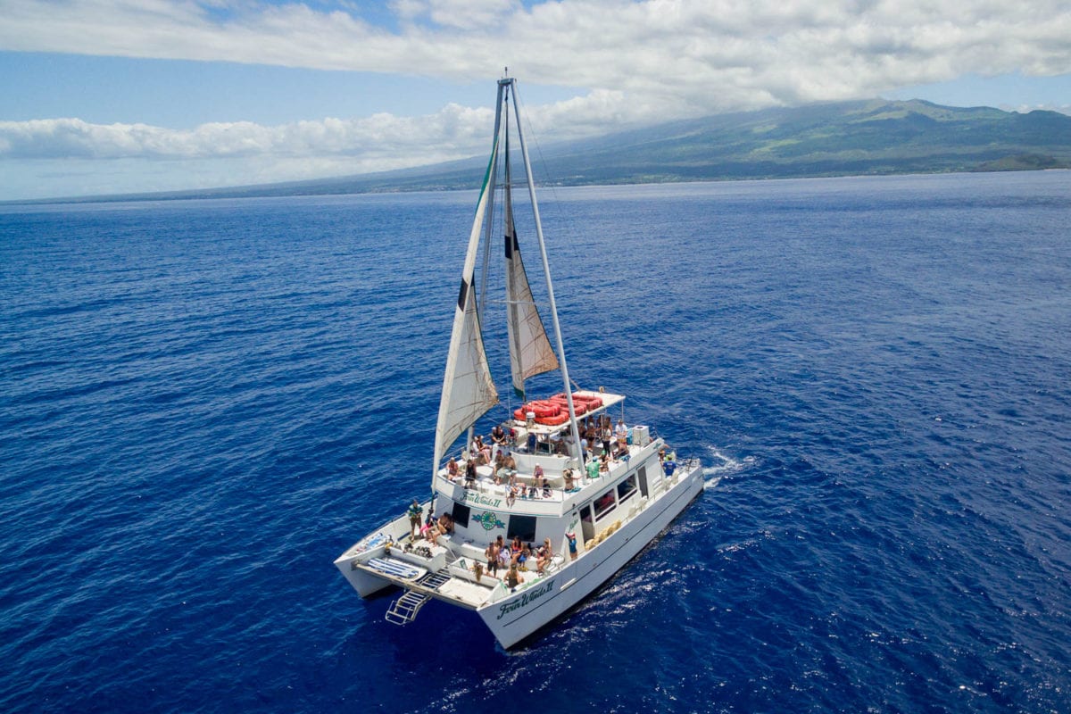 Private Boat Charters Whale Watching Snorkeling To Molokini Crater Maui Classic Charters